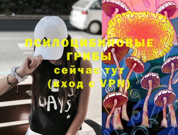 эйфоретик Абаза