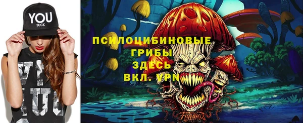 эйфоретик Абаза