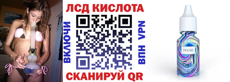 Наркотические марки 1,5мг  KRAKEN   Кедровый 