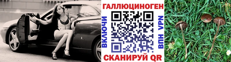 блэк спрут tor  Кедровый  Галлюциногенные грибы ЛСД  цены  